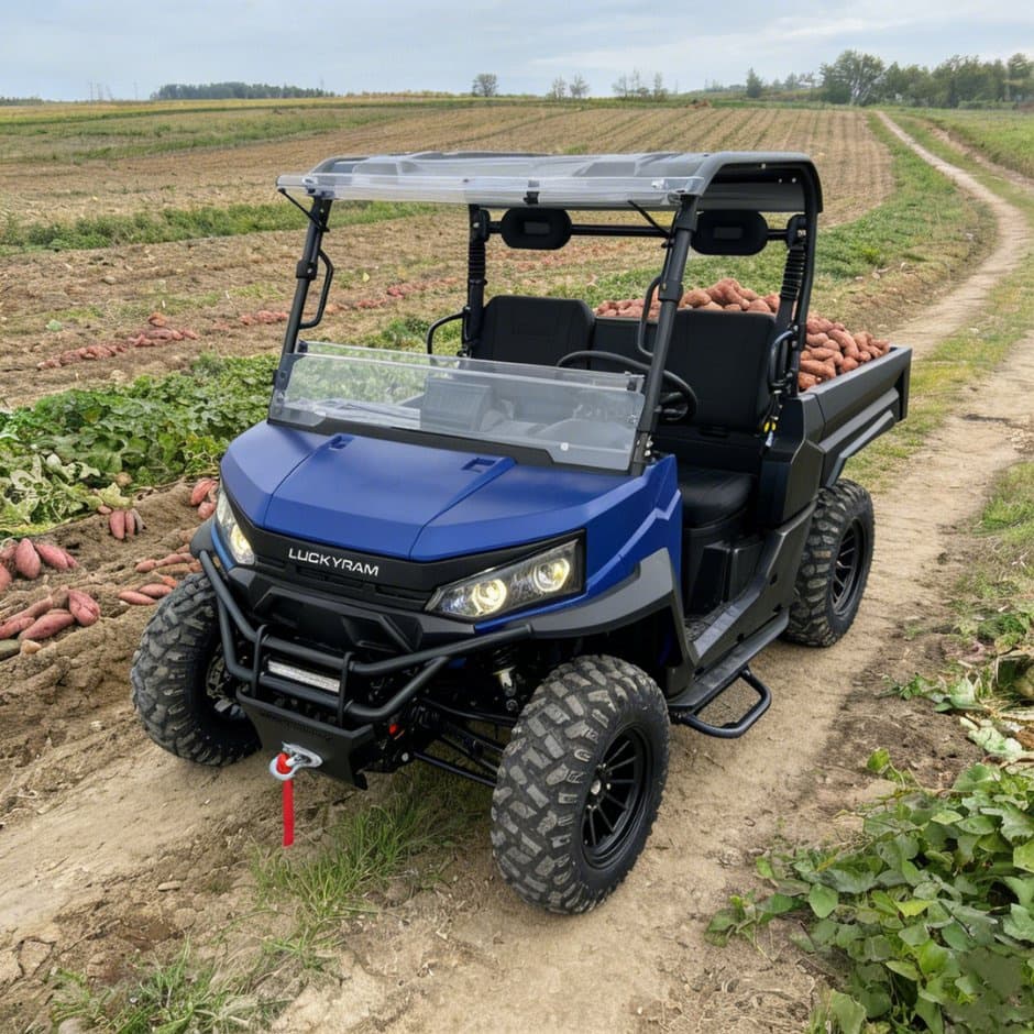 73.6V 4WD UTV 10kw AC 모터 EPS 조향 150ah 배터리